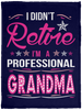 I Didnt Retire I Am A Professional Grandma