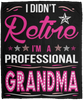 I Didnt Retire I Am A Professional Grandma