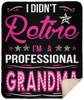I Didnt Retire I Am A Professional Grandma